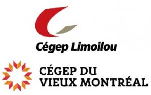 Cégep Limoilou / Cégep du Vieux Montréal  Les formateurs du programme