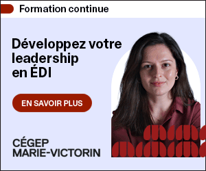 Certification collégiale en ÉDI offerte en ligne—Cégep Marie-Victorin